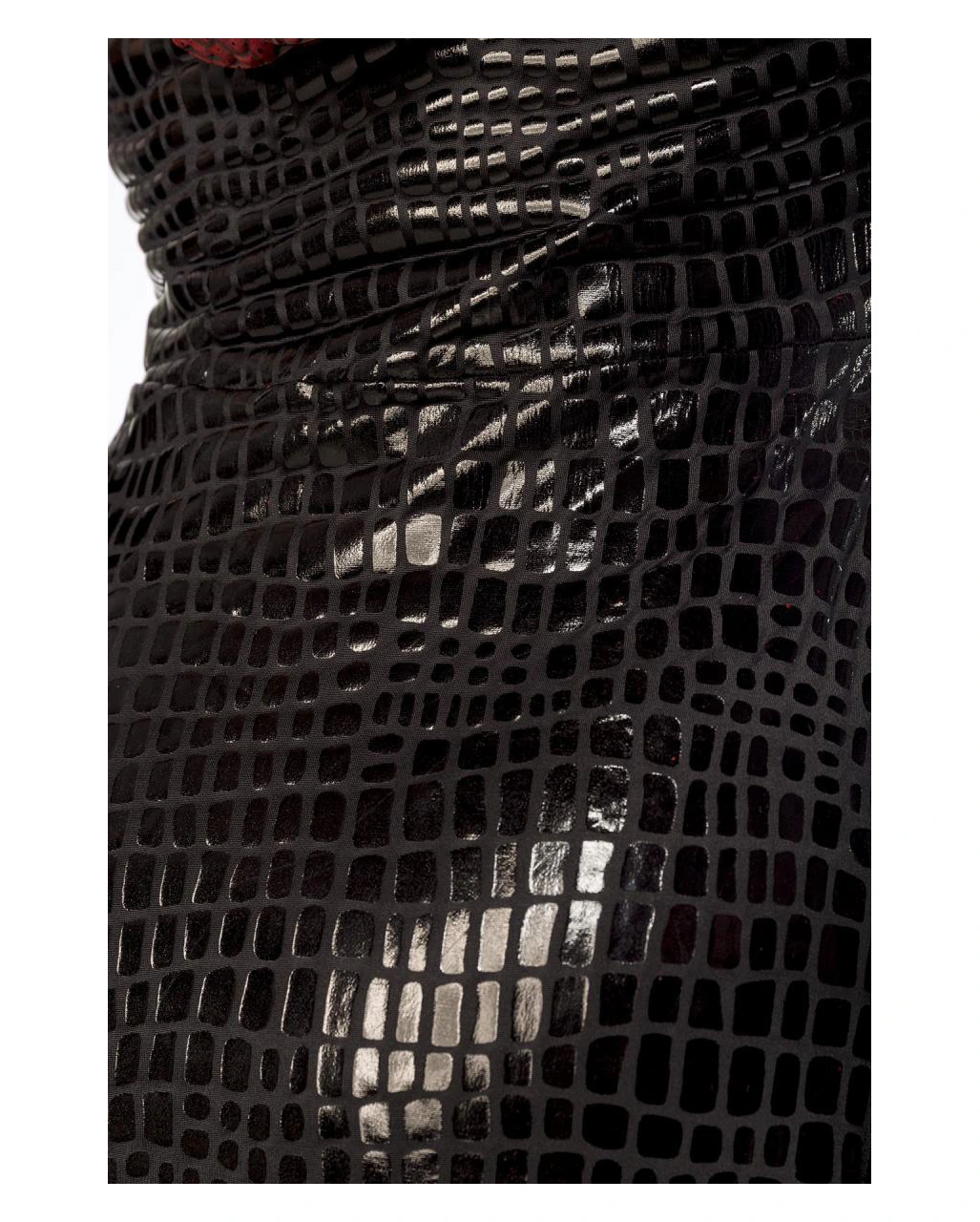 Drachen Lady Kostüm Mit Flügeln 2 Drachen Lady Kostüm Mit Flügeln – Bild 2