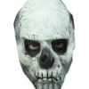Skull Maske Nachtleuchtend
