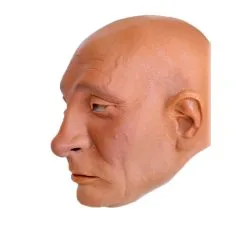 Präsident Putin Schaumlatex Maske 7 Präsident Putin Schaumlatex Maske -Karnevals-Werbeartikelladen vladimir putin schaumlatex maske president putin foamlatex mask politiker maske 50346 04